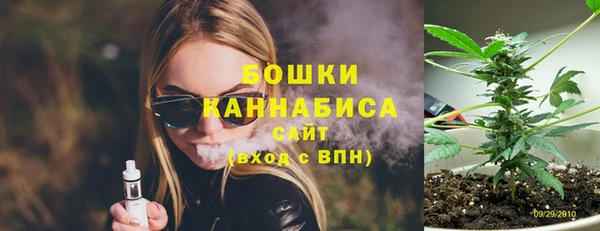 хмурый Мегион