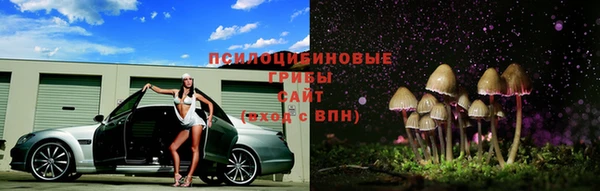 хмурый Мегион