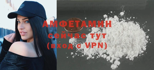 хмурый Мегион