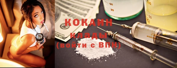 шишки Яровое