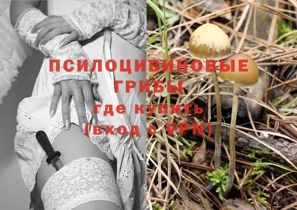 марихуана Медногорск
