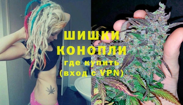 хмурый Мегион