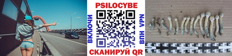 где купить наркоту  Нефтекамск  Галлюциногенные грибы мухоморы 