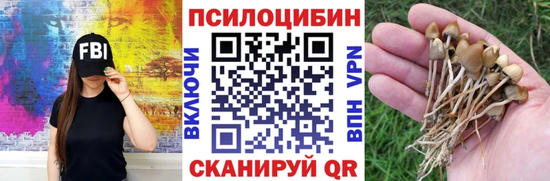 Псилоцибиновые грибы Psilocybe Нефтекамск